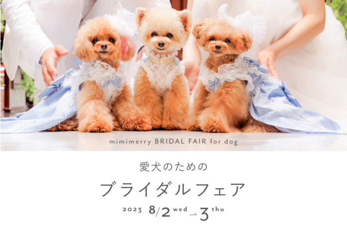 【8月2日(水)・3日(木)限定】愛犬のためのブライダルフェアを神戸異人館で開催のメイン画像