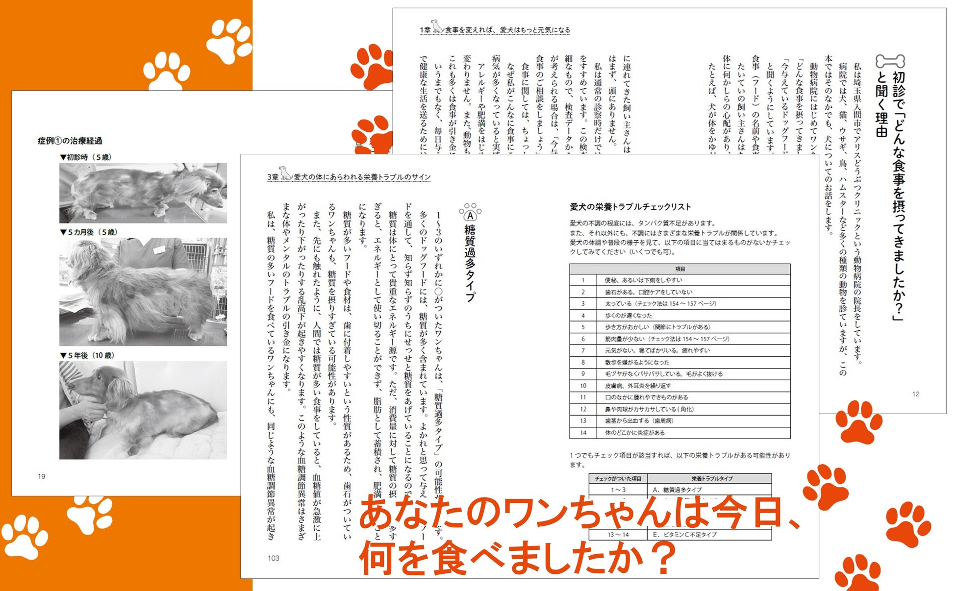 あなたの愛犬が抱える皮膚病、下痢、アレルギー、関節トラブル、歯周病…の悩みに応える『愛犬の不調は「糖質」が原因だった！』発売のサブ画像3