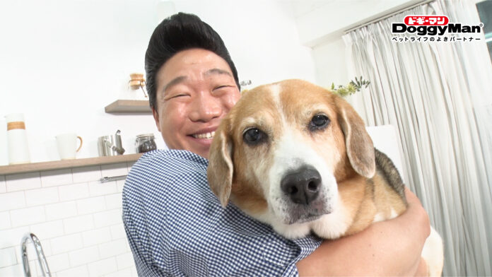 第３弾！【みやぞん（ANZEN漫才）×ドギーマン】わんちゃんとの暮らしがより豊かになる、楽しい動画を７月３日からドギーマンハヤシ公式YouTubeチャンネルで配信開始。のメイン画像