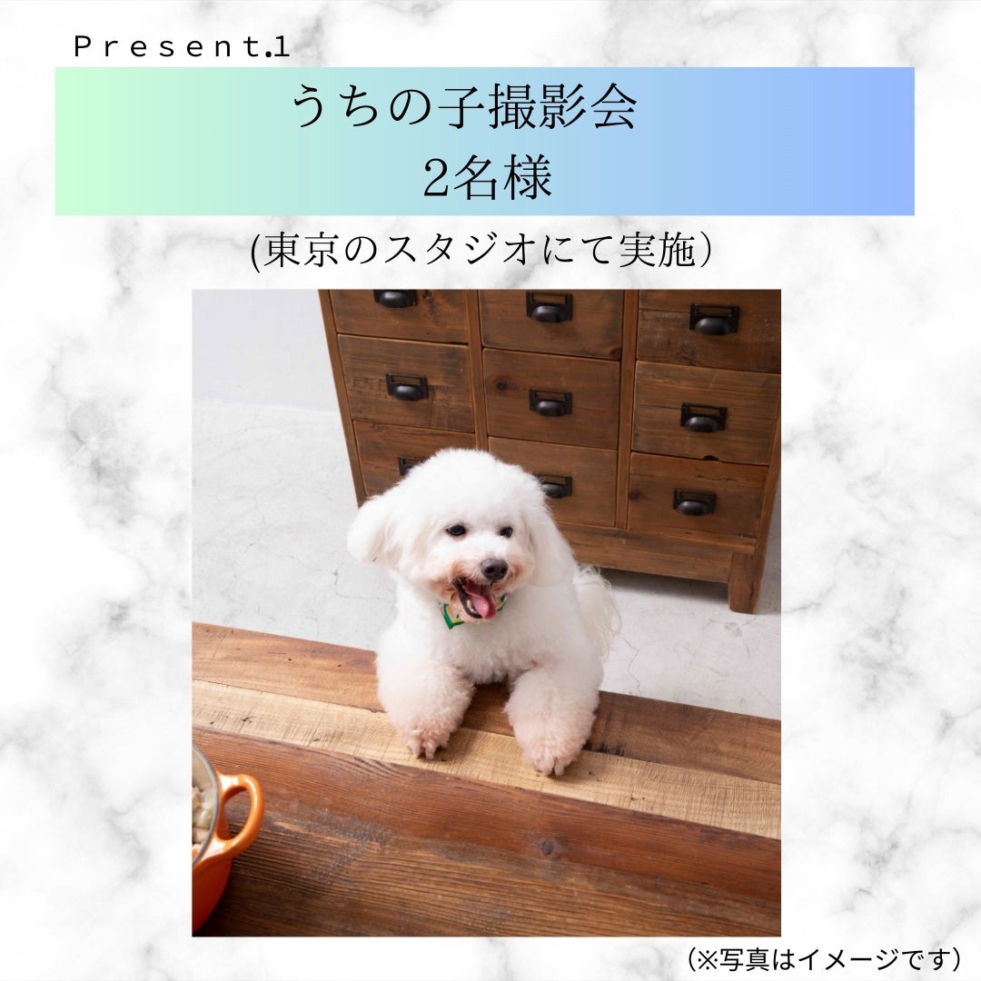 【愛犬・愛猫と過ごす夏休み応援！】書籍『長生き犬ごはん』『長生き猫ごはん』同時重版御礼・プレゼントキャンペーン開催のサブ画像2