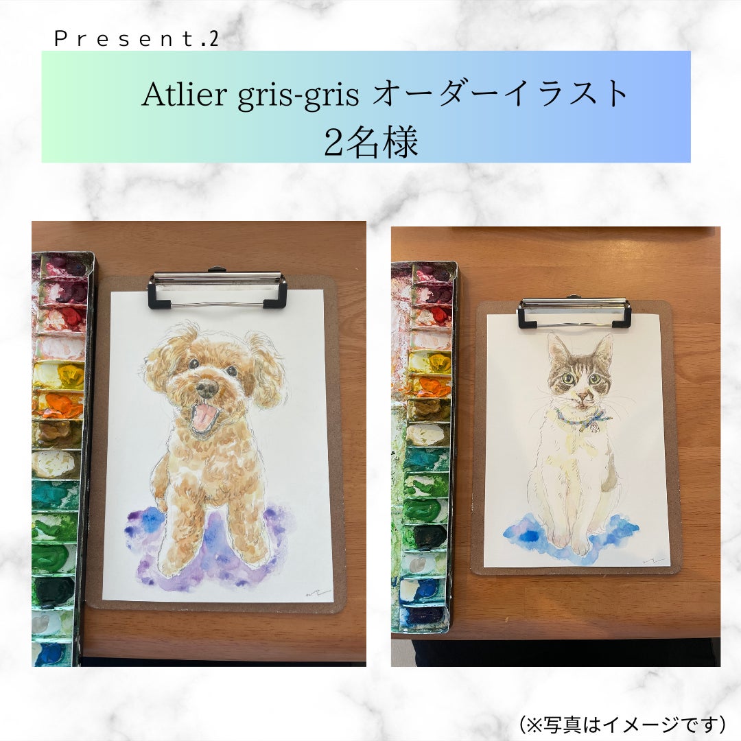 【愛犬・愛猫と過ごす夏休み応援！】書籍『長生き犬ごはん』『長生き猫ごはん』同時重版御礼・プレゼントキャンペーン開催のサブ画像3