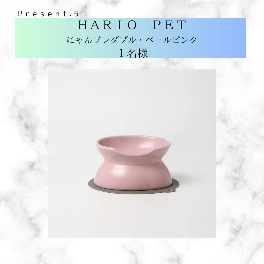 【愛犬・愛猫と過ごす夏休み応援！】書籍『長生き犬ごはん』『長生き猫ごはん』同時重版御礼・プレゼントキャンペーン開催のサブ画像6