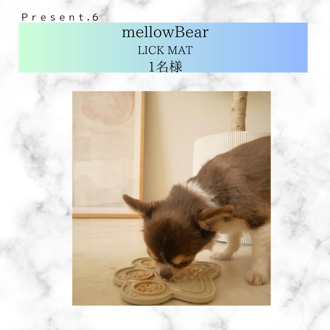【愛犬・愛猫と過ごす夏休み応援！】書籍『長生き犬ごはん』『長生き猫ごはん』同時重版御礼・プレゼントキャンペーン開催のサブ画像7