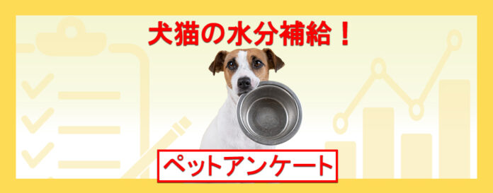 犬・猫の夏の脱水症状は鼻で見分ける？飲み水は何回交換？『ペット保険比較のピクシー』のメイン画像