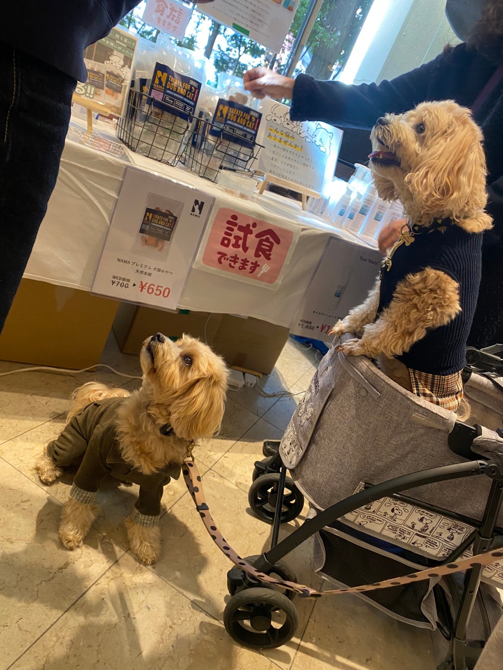 わずか18ヶ月で販売累計３万食を突破した大人気のおやつ「NAMAプレミアム犬猫おやつ」がパッケージをリニューアルして販売開始！のサブ画像1