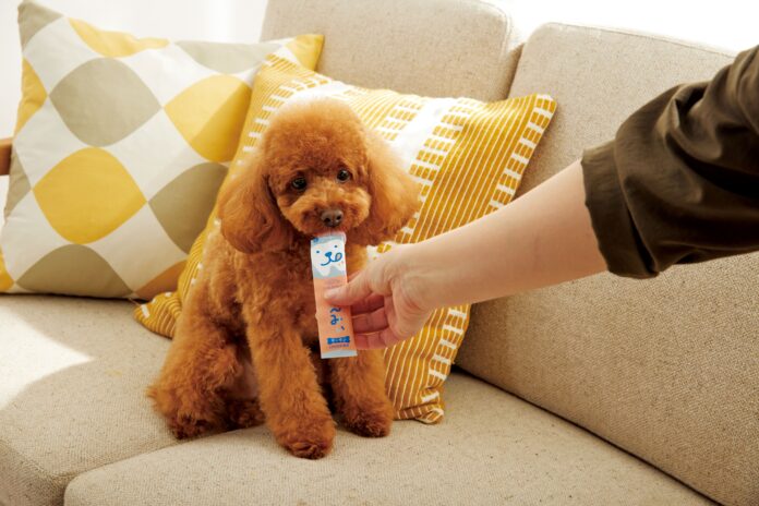 おやつでおいしく口のケアができちゃう！？L8020乳酸菌入り犬用おやつ＆猫用おやつに新味『サーモン』が8月17日（木）に新登場！のメイン画像