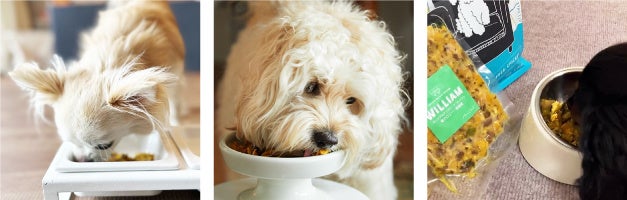 ペトレピフーズが愛犬のダイエットを意識した「ウィリアムドッグフードフレッシュ＜低カロリー＞」の販売を開始のサブ画像11