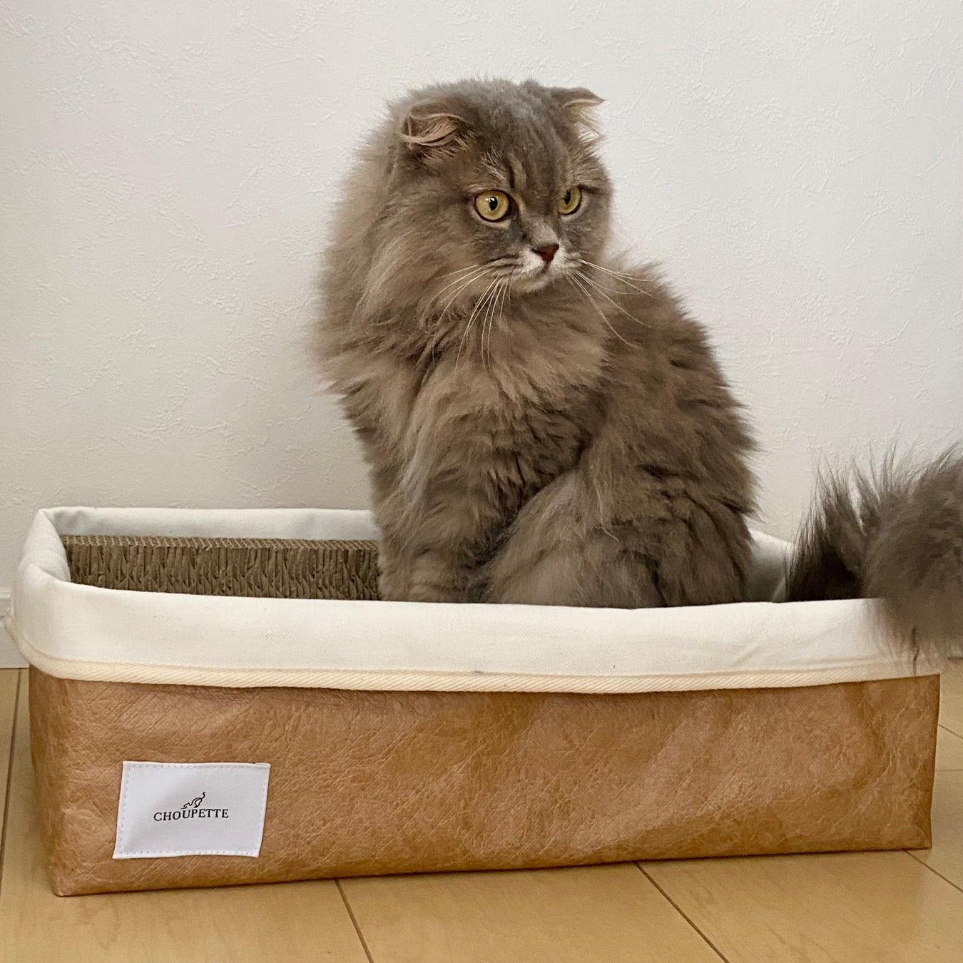 【世界猫の日】愛猫家のファッションデザイナーが猫専門グッズを取り扱う新ブランド「CHOUPETTE 〜シュペット〜」を8月8日(火)にローンチ。のサブ画像5