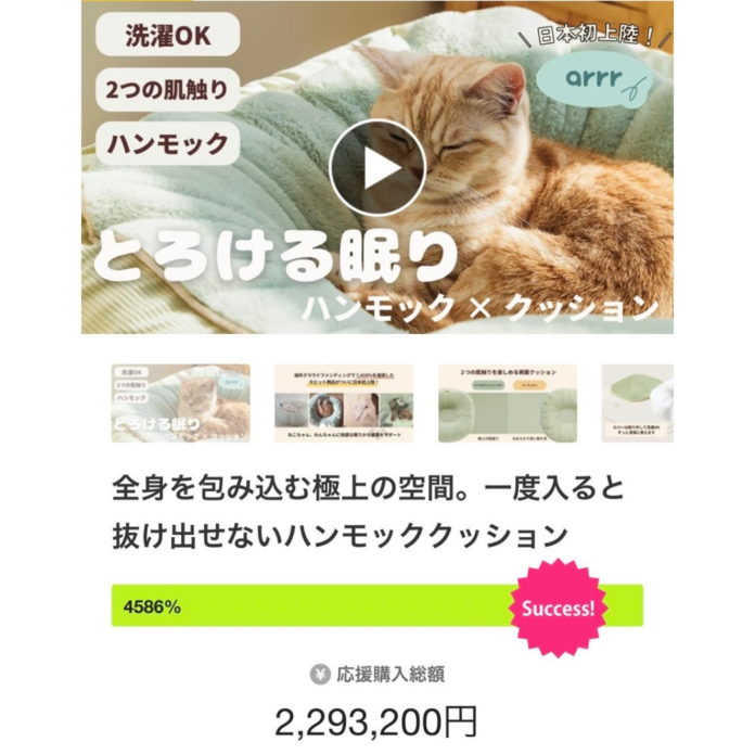 24時間で4586%達成! 韓国東遠グループのペット用品部門の”arrr”が好スタートのメイン画像