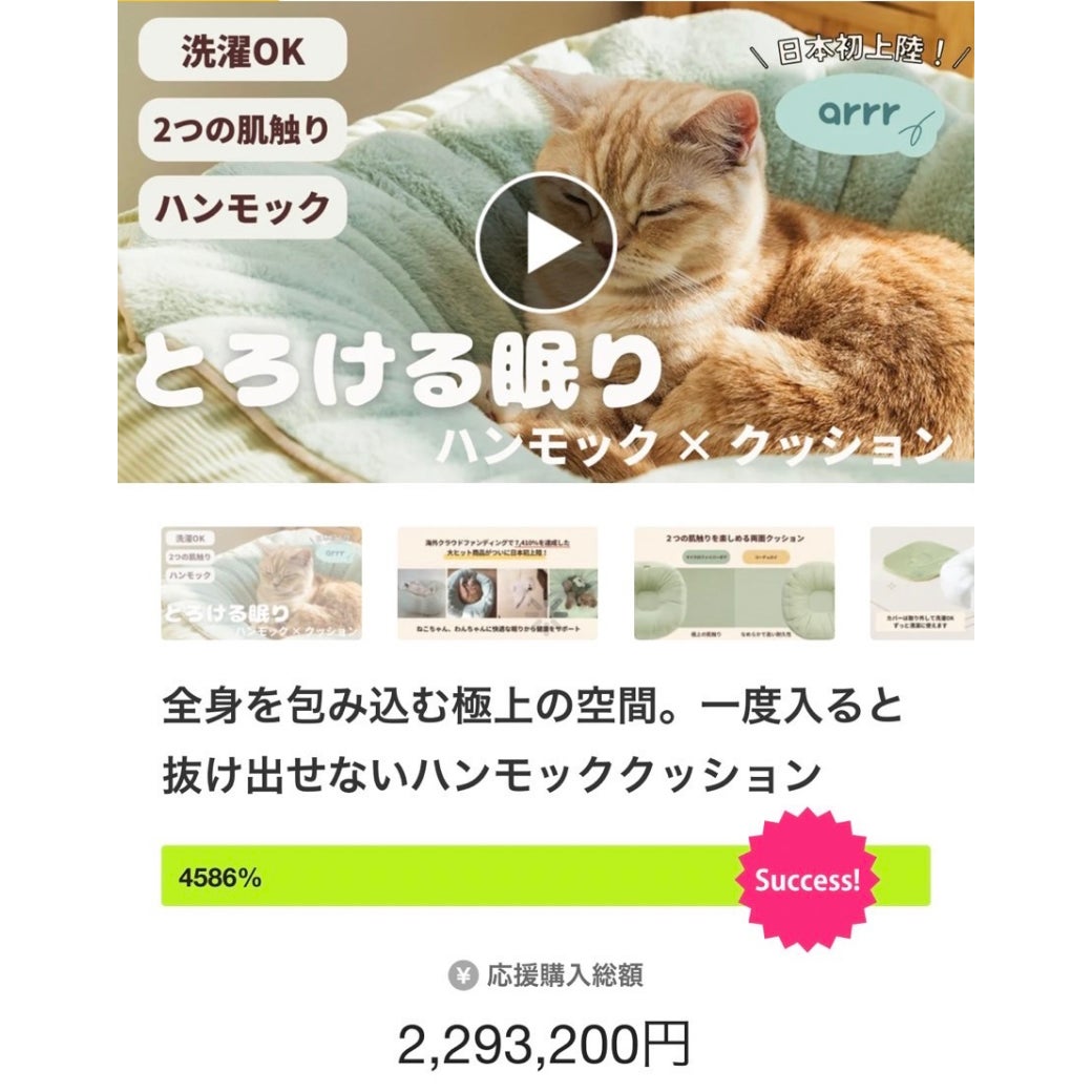 24時間で4586%達成! 韓国東遠グループのペット用品部門の”arrr”が好スタートのサブ画像1