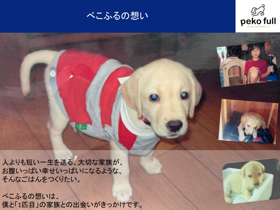国産原料・国内製造の東北発ペットフード「ぺこふる」が公式オンラインショップで【期間限定】予約販売を開始！のサブ画像5