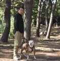 Professional Dog Trainers’ Education Network（PD-TEN）によるドッグ事業関係者のためのカンファレンス「第4回PD-TEN カンファレンス」を10月に開催のサブ画像6