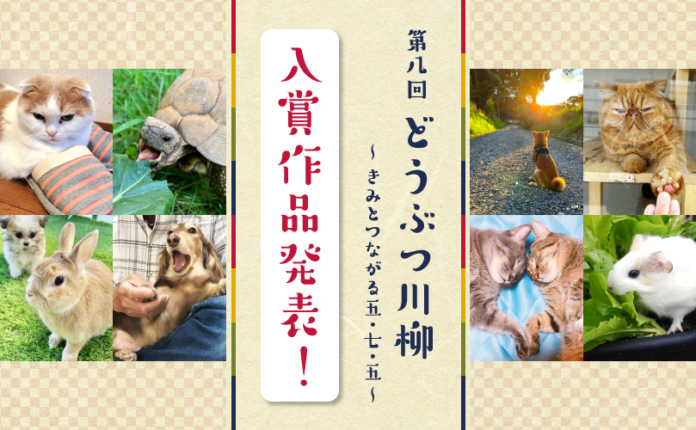 第八回「どうぶつ川柳」入賞作品発表のメイン画像