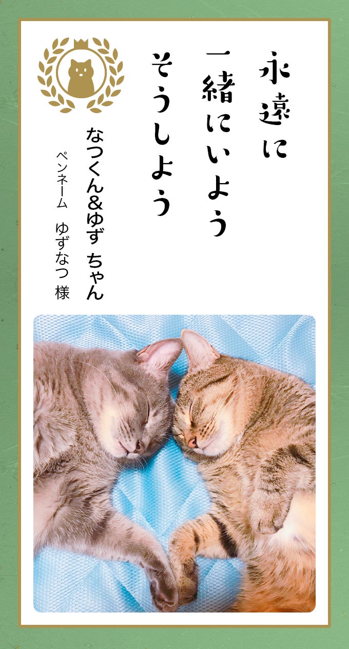 第八回「どうぶつ川柳」入賞作品発表のサブ画像11
