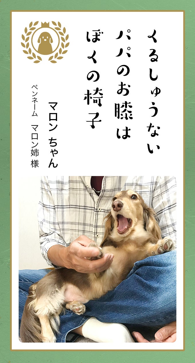 第八回「どうぶつ川柳」入賞作品発表のサブ画像2