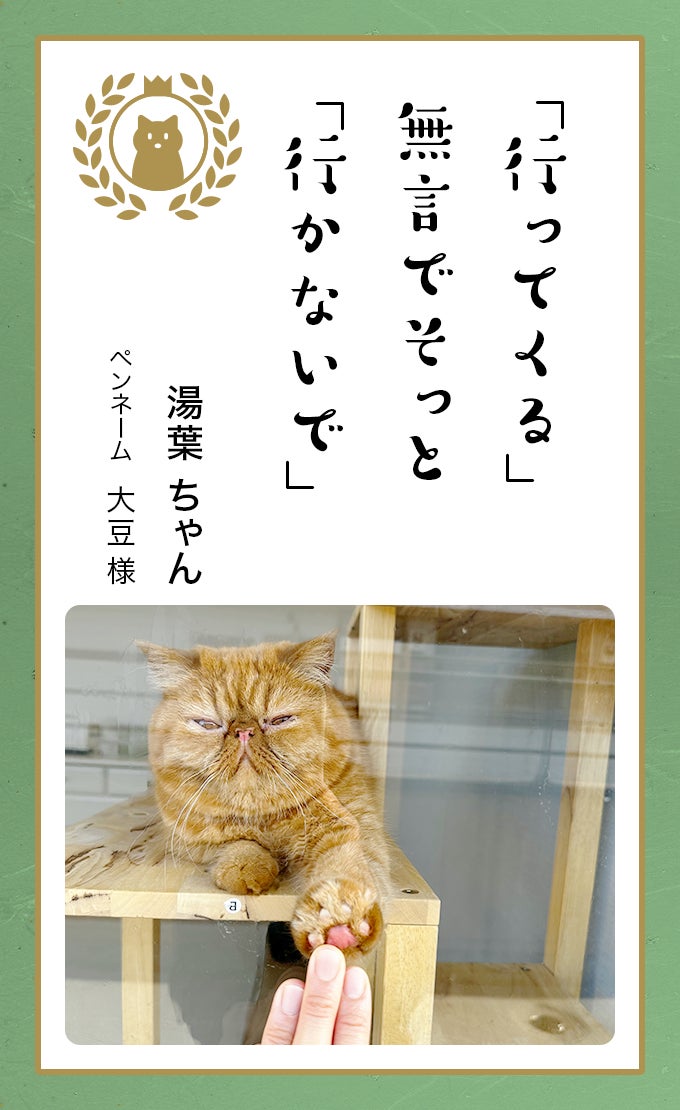 第八回「どうぶつ川柳」入賞作品発表のサブ画像3