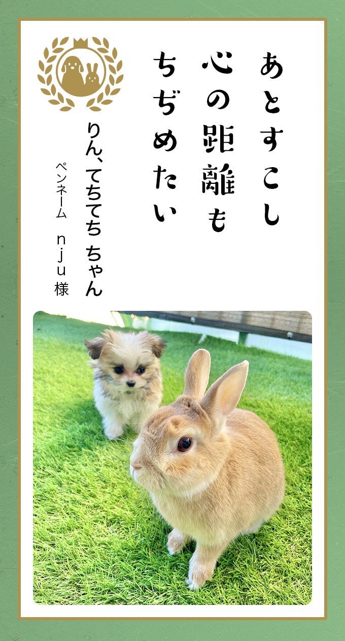 第八回「どうぶつ川柳」入賞作品発表のサブ画像4