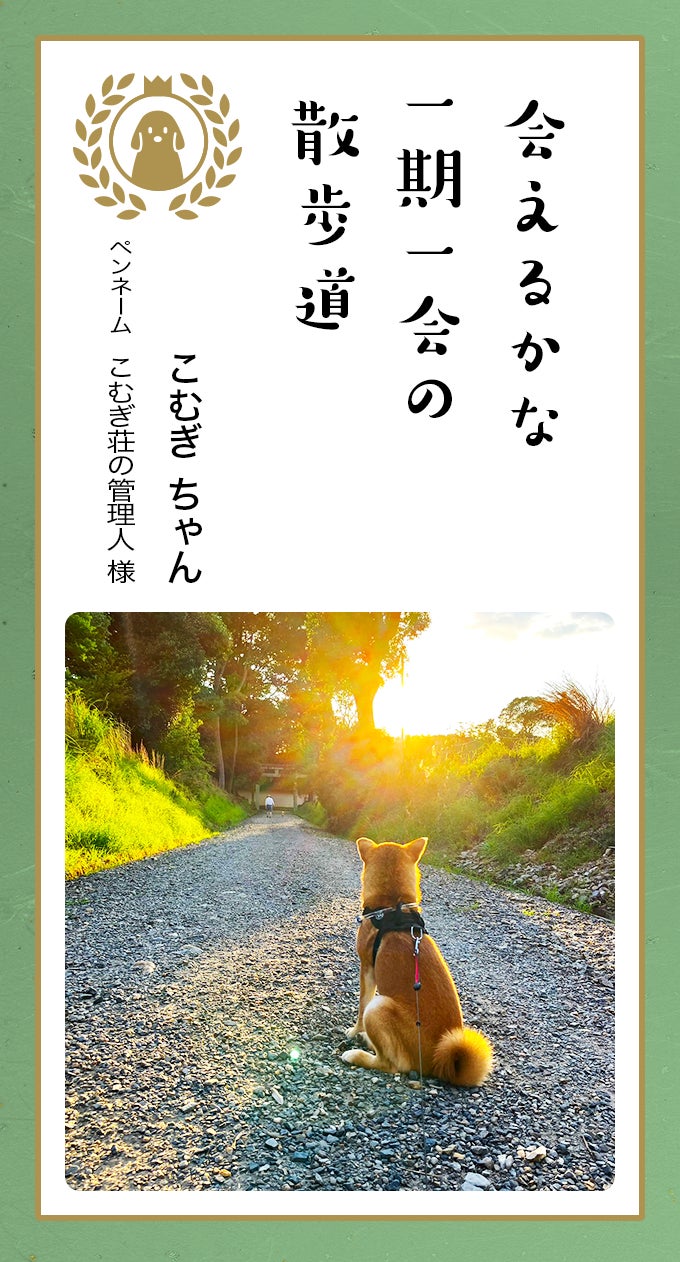 第八回「どうぶつ川柳」入賞作品発表のサブ画像5