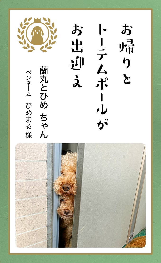 第八回「どうぶつ川柳」入賞作品発表のサブ画像6