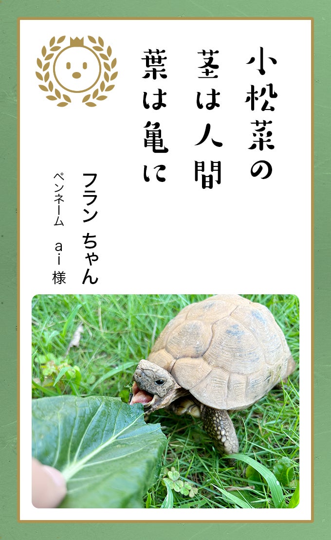 第八回「どうぶつ川柳」入賞作品発表のサブ画像8