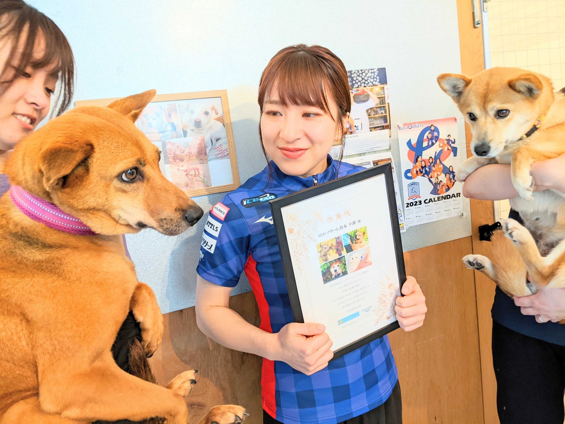 ロコ・ソラーレ鈴木夕湖選手が世界のチャリティカレンダーを通じてピースワンコ・ジャパンの保護犬を支援のサブ画像1