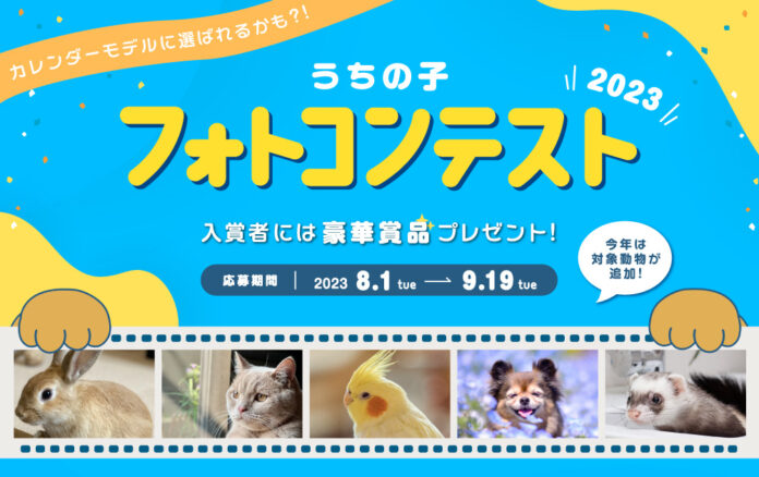 アイペット「うちの子フォトコンテスト2023」投稿キャンペーン開始のメイン画像