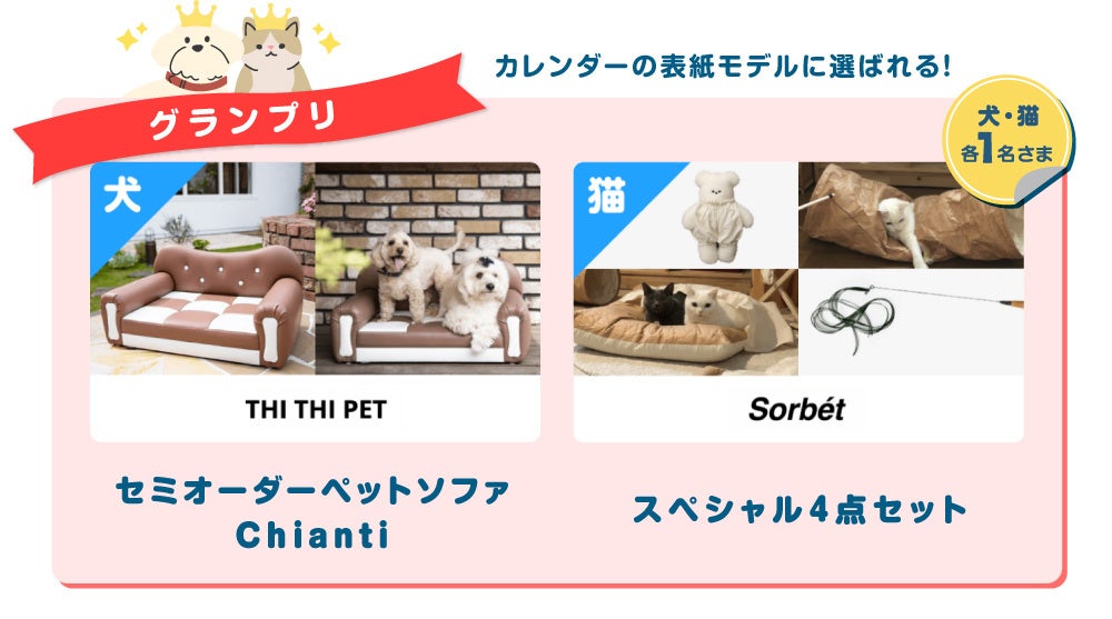 アイペット「うちの子フォトコンテスト2023」投稿キャンペーン開始のサブ画像4
