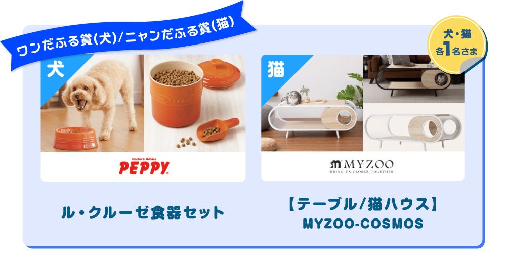 アイペット「うちの子フォトコンテスト2023」投稿キャンペーン開始のサブ画像5