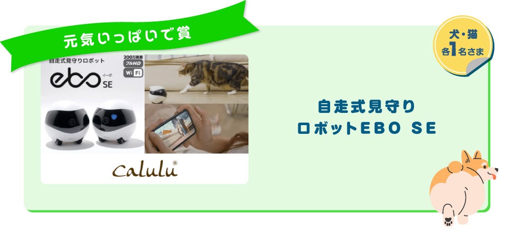 アイペット「うちの子フォトコンテスト2023」投稿キャンペーン開始のサブ画像6