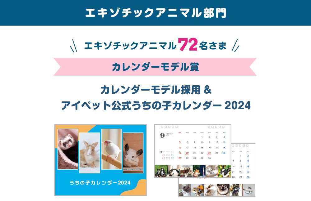 アイペット「うちの子フォトコンテスト2023」投稿キャンペーン開始のサブ画像7