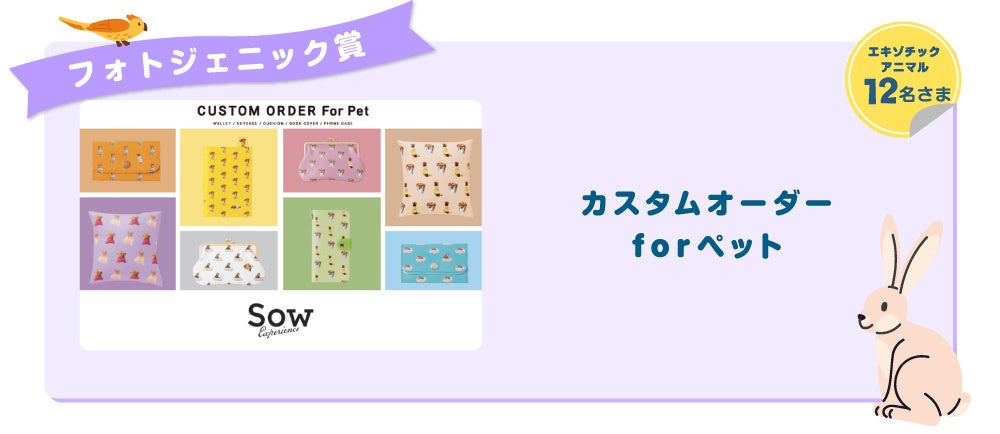 アイペット「うちの子フォトコンテスト2023」投稿キャンペーン開始のサブ画像8