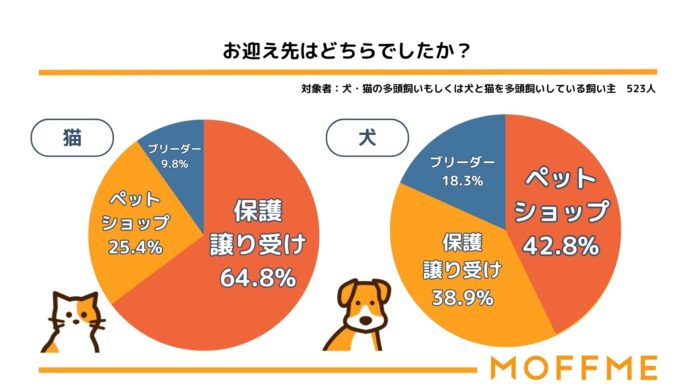【犬と猫の多頭飼育に関する調査】犬のお迎え先1位はペットショップ、猫のお迎え先1位は保護や譲り受けであることが判明。のメイン画像