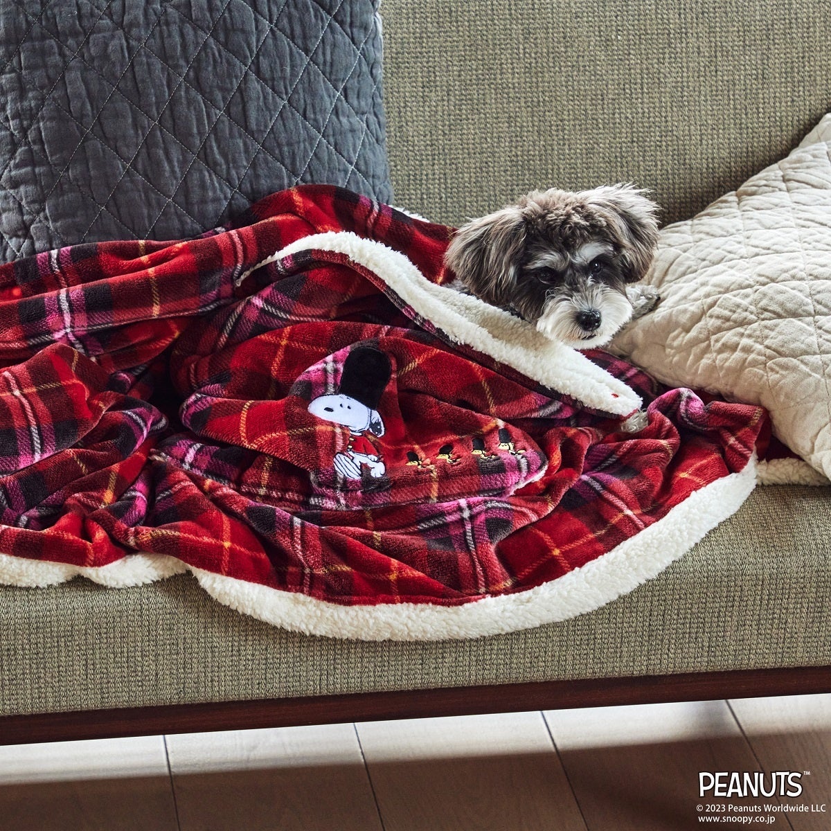 英国の雰囲気が漂うタータンとPEANUTSがコラボレーション！”PEANUTS TARTAN”をテーマにロゼットやペットアイテム9月13日(水)発売のサブ画像11