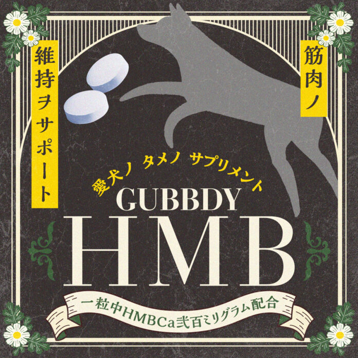 愛犬の筋肉の健康維持をサポートするサプリメント「ガブディ HMB」を9月7日(木)より発売開始のメイン画像