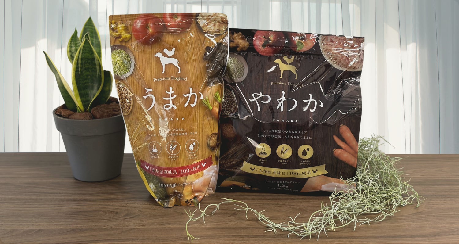 華味鳥を使用しているドッグフード【うまか】【やわか】がふるさと納税返礼品に初登場のサブ画像2