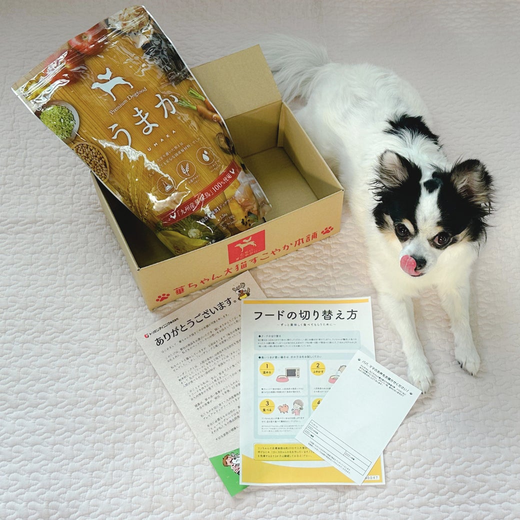 華味鳥を使用しているドッグフード【うまか】【やわか】がふるさと納税返礼品に初登場のサブ画像3
