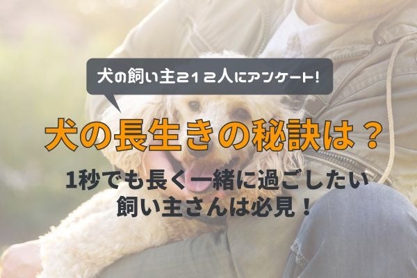 犬の飼い主が思う長生きの秘訣は○○…！？飼い主が気をつけていることは「食事」「運動」【飼い主212人アンケート】のサブ画像1