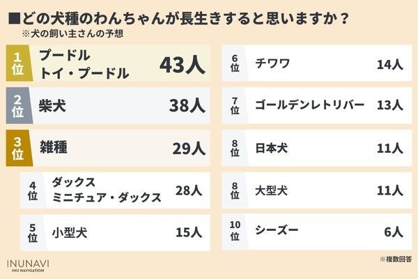 犬の飼い主が思う長生きの秘訣は○○…！？飼い主が気をつけていることは「食事」「運動」【飼い主212人アンケート】のサブ画像4