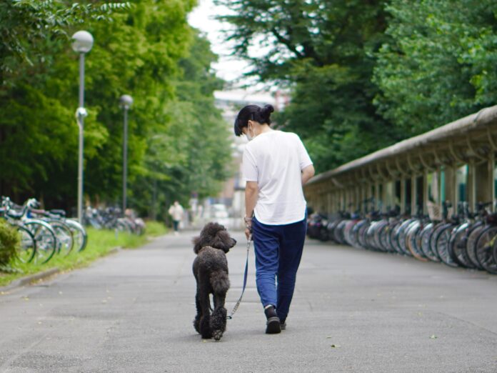株式会社BIOTA、麻布大学（学長：川上泰、本部：神奈川県相模原市）と「環境・動物・ヒト社会における細菌叢の解析」に関する共同研究契約を締結のメイン画像
