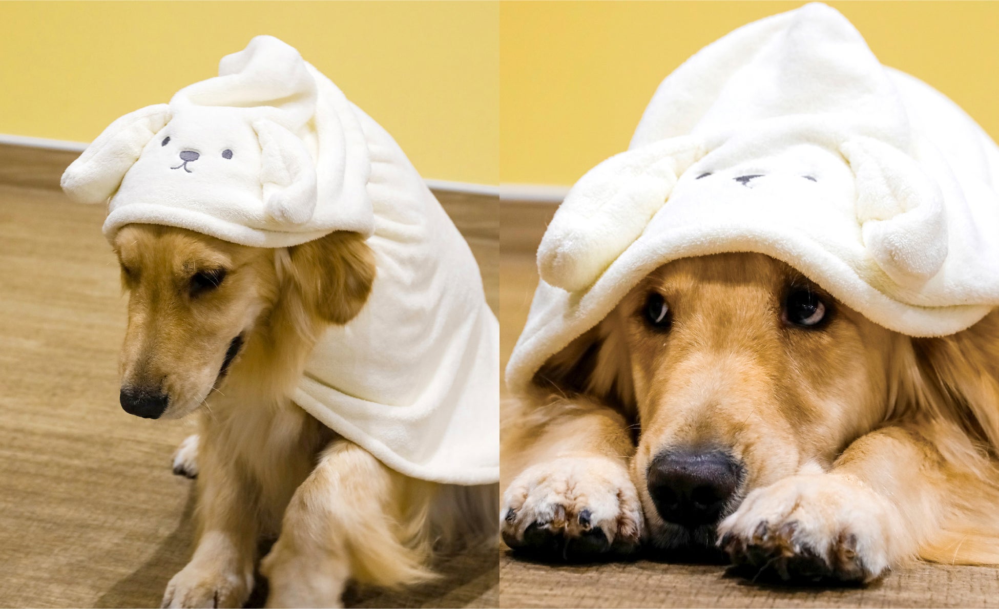 【新商品】ワンちゃんに被せるだけで素早く吸水！マイクロファイバー製のペットローブ（大型犬用Lサイズ）が新発売！のサブ画像4