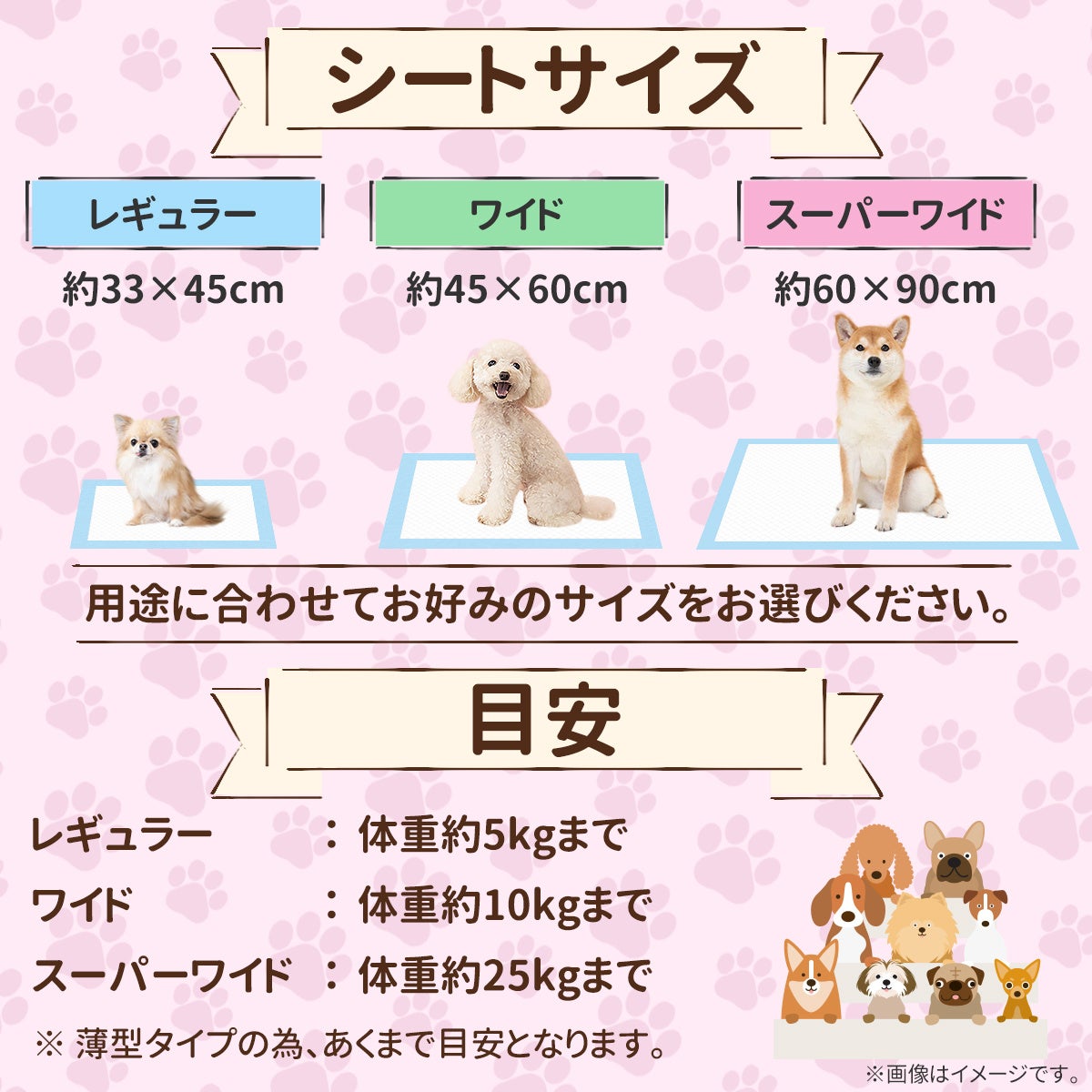 薄型なのにしっかり吸収！薄型ペットシーツ新発売のお知らせのサブ画像2