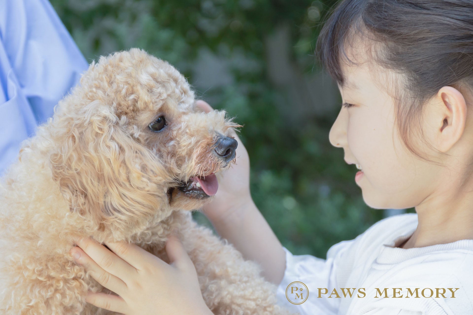 ペットホームセレモニー「PAWS MEMORY（パウズ メモリー）」スタートのサブ画像6