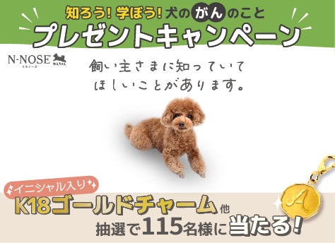 N-NOSE® わんちゃん「知ろう！学ぼう！犬のがんのことキャンペーン」開始のサブ画像1