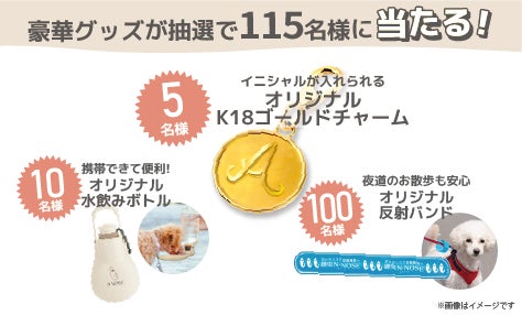 N-NOSE® わんちゃん「知ろう！学ぼう！犬のがんのことキャンペーン」開始のサブ画像2