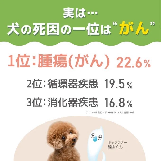 N-NOSE® わんちゃん「知ろう！学ぼう！犬のがんのことキャンペーン」開始のサブ画像3