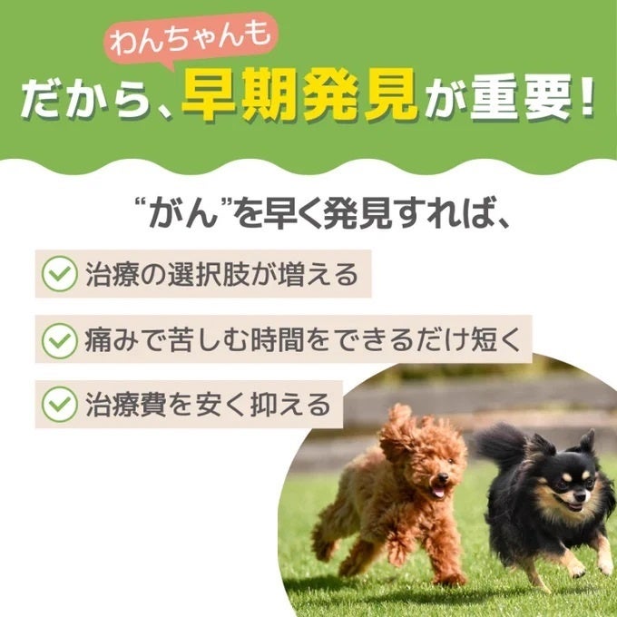 N-NOSE® わんちゃん「知ろう！学ぼう！犬のがんのことキャンペーン」開始のサブ画像5