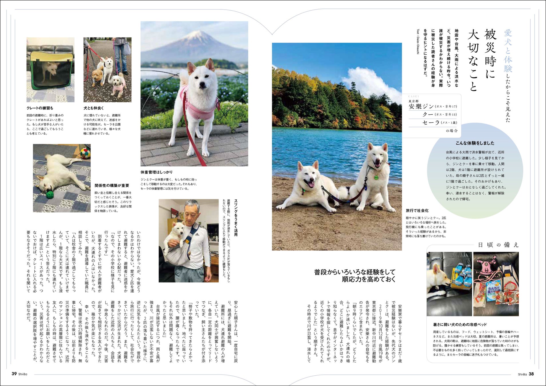 愛犬を災害から守る！ 一緒に生き残るために知っておきたい防災術を特集した日本犬専門誌『Shi-Ba【シーバ】』最新号が発売中のサブ画像6