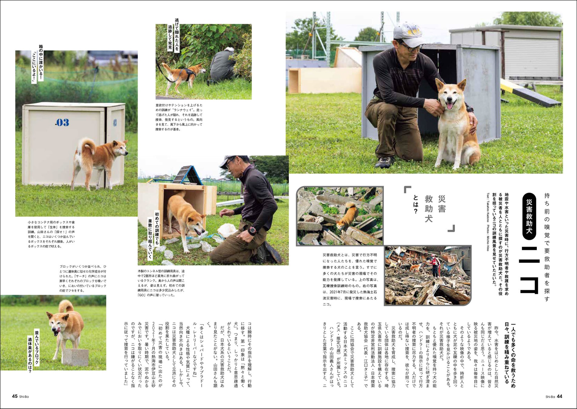 愛犬を災害から守る！ 一緒に生き残るために知っておきたい防災術を特集した日本犬専門誌『Shi-Ba【シーバ】』最新号が発売中のサブ画像7