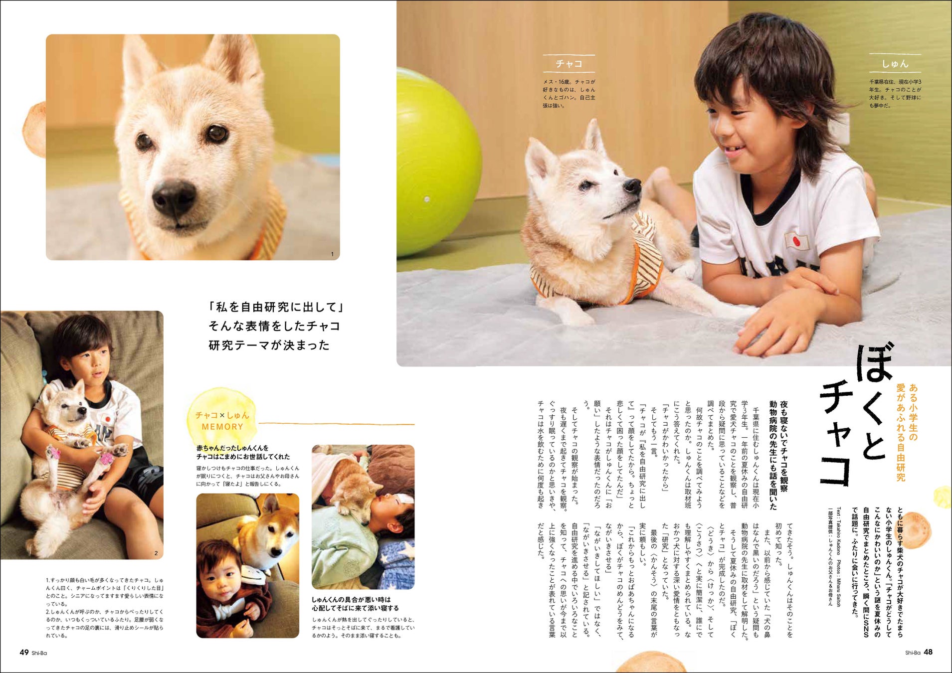 愛犬を災害から守る！ 一緒に生き残るために知っておきたい防災術を特集した日本犬専門誌『Shi-Ba【シーバ】』最新号が発売中のサブ画像8