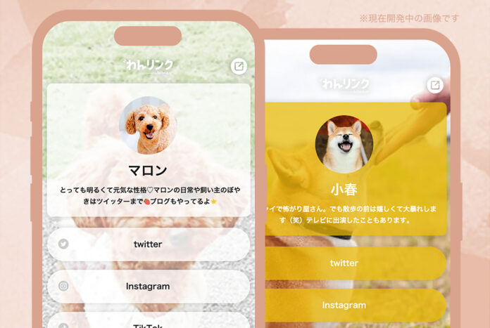 ”犬専用”のプロフィール＆リンクサービス「わんリンク」オープン！犬のメディア「わんちゃんホンポ」が犬の飼い主向けプロフィールサービスをリリース【株式会社ピーネストジャパン】のメイン画像